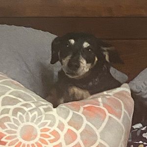 Meet your Posher, Julia